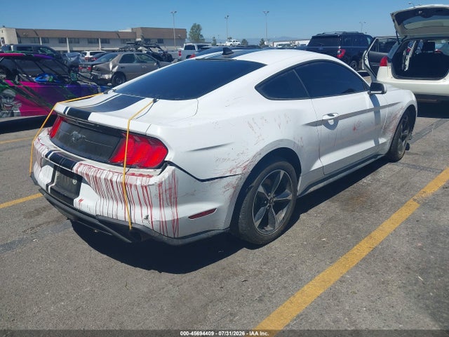 Ford Mustang Ecoboost Fastback 2023 1FA6P8TH4P5101163 Image 4