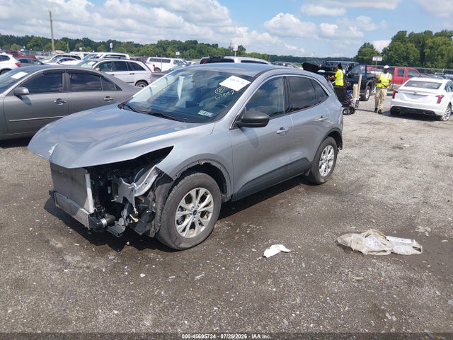 Продаж на аукціоні авто 2024 Ford Escape Active, vin: 1FMCU9GN2RUA31582, номер лоту: 45695734