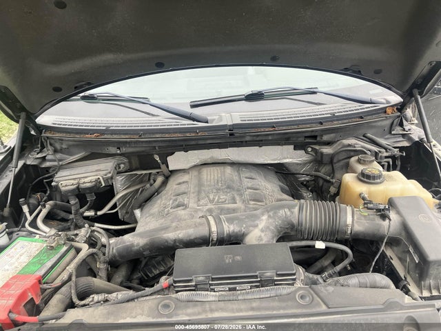 45695807 :رقم المزاد ، 1FTFW1ETXDKD82985 vin ، 2013 Ford F-150 Fx4 مزاد بيع
