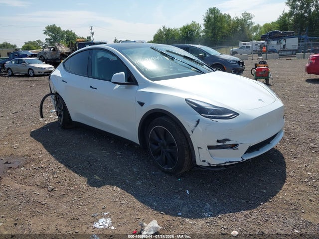 Продаж на аукціоні авто 2025 Tesla Model Y Long Range Dual Motor All-wheel Drive, vin: 7SAYGDEE8SF245260, номер лоту: 45696544