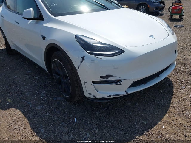 Продаж на аукціоні авто 2025 Tesla Model Y Long Range Dual Motor All-wheel Drive, vin: 7SAYGDEE8SF245260, номер лоту: 45696544