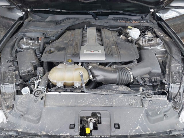 45699767 :رقم المزاد ، 1FA6P8CF9L5185456 vin ، 2020 Ford Mustang Gt Fastback مزاد بيع