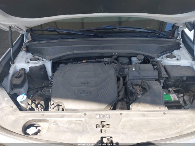 KIA Telluride Ex 2021 5XYP3DHC3MG111816 Image 10