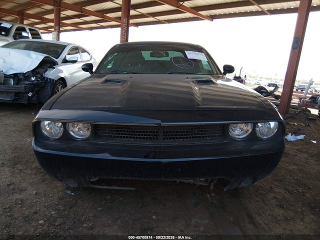 Продажа на аукционе авто 2013 Dodge Challenger Sxt, vin: 2C3CDYAG3DH728705, номер лота: 45700974