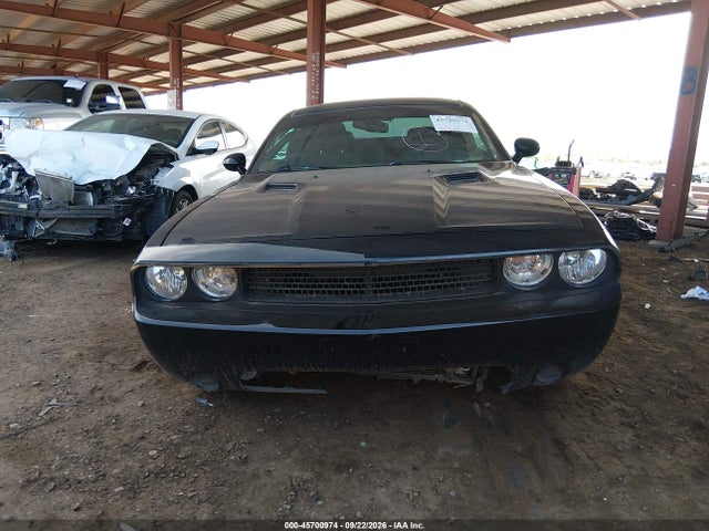 Продажа на аукционе авто 2013 Dodge Challenger Sxt, vin: 2C3CDYAG3DH728705, номер лота: 45700974