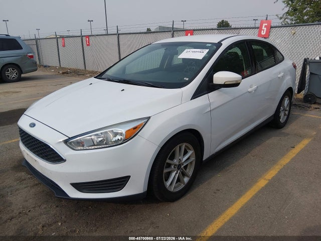 Ford FOCUS SE 2015 1FADP3F22FL385436 Image 2