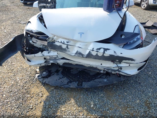 Tesla Model 3 Long Range/performance 2019 5YJ3E1EB8KF494594 Image 13