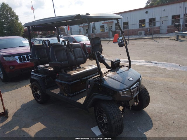 Продажа на аукционе авто 2023 Evolution D5 Le, vin: 00000000202332027, номер лота: 45704605