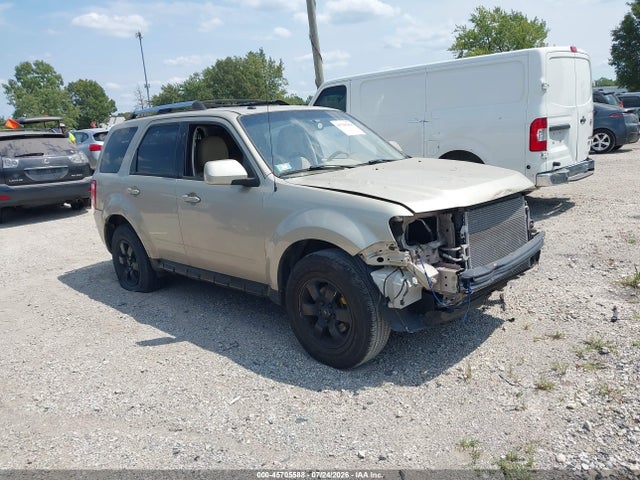 Auction sale of the 2011 Ford Escape Limited, vin: 1FMCU0EG7BKB79289, lot number: 45705588