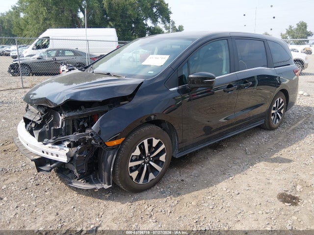Honda Odyssey Ex-l 2025 5FNRL6H67SB084557 Image 2
