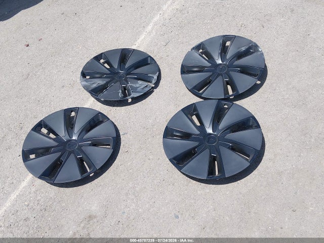Продаж на аукціоні авто 2024 Tesla Model 3 Long Range Dual Motor All-wheel Drive, vin: 5YJ3E1EB3RF829495, номер лоту: 45707239