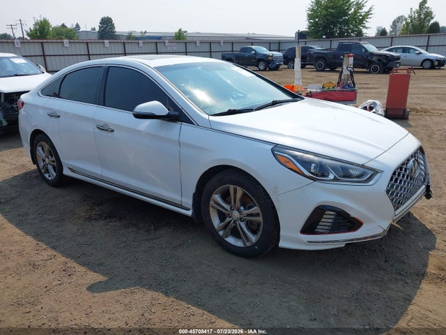 Hyundai Sonata Sport 2019 5NPE34AF9KH801040 main image