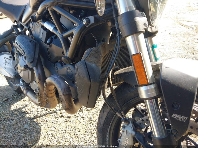 Ducati Monster 821 2019 ZDMMACLSXKB003626 Image 15