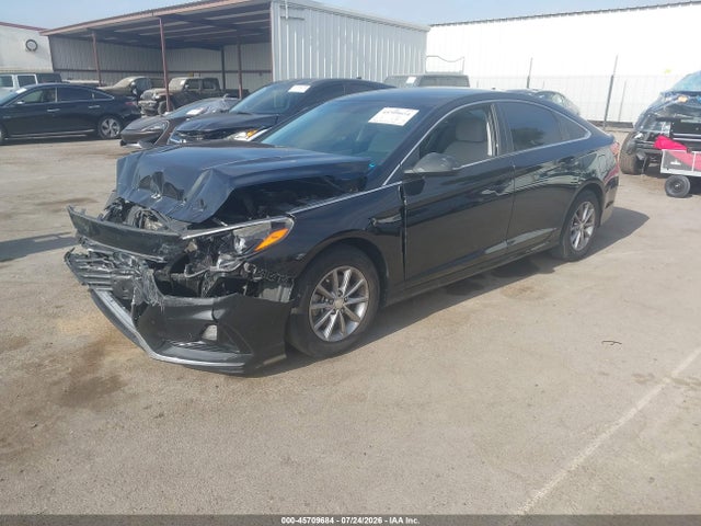 5NPE24AFXJH597866 Hyundai SONATA SE