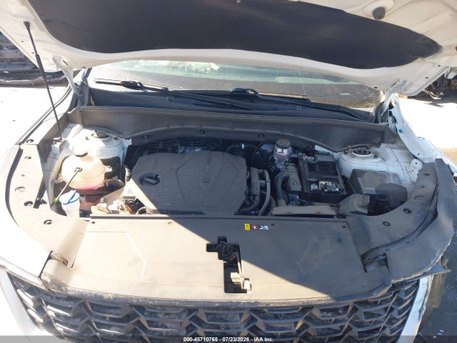 KIA SORENTO LX 2024 5XYRG4JCXRG299085 Image 10