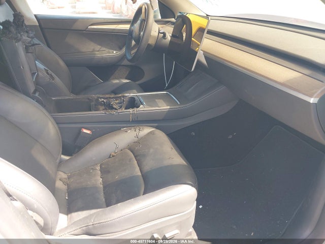 Продаж на аукціоні авто 2024 Tesla Model Y Long Range Dual Motor All-wheel Drive, vin: 7SAYGAEE1RF169051, номер лоту: 45711604