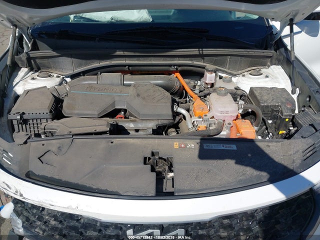 2024 Kia Sorento Hybrid Ex მანქანა იყიდება აუქციონზე, vin: KNDRH4LG0R5260222, აუქციონის ნომერი: 45712942