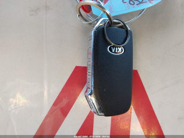 Auction sale of the 2020 Kia Telluride Sx, vin: 5XYP5DHC3LG086618, lot number: 45715498