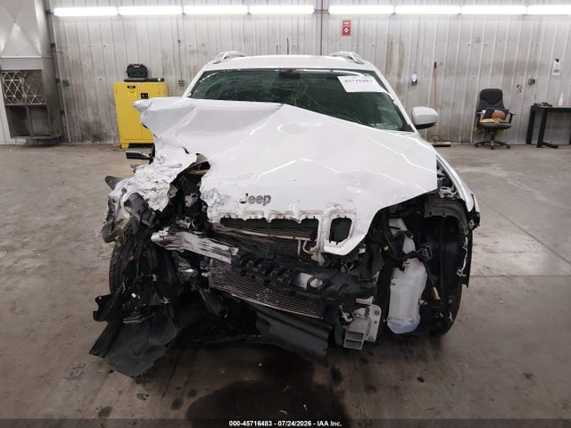 Продаж на аукціоні авто 2019 Jeep Cherokee Limited 4x4, vin: 1C4PJMDNXKD207404, номер лоту: 45716483