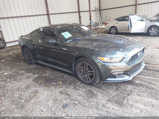 2016 1FA6P8AM5G5210084 main image