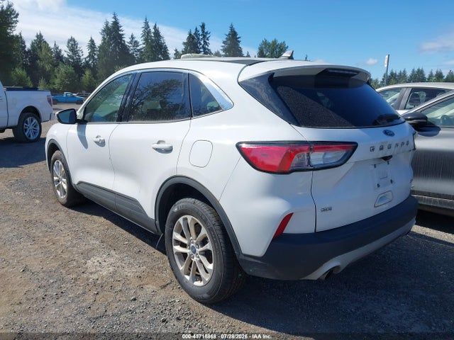 Ford ESCAPE SE 2020 1FMCU9G61LUB06532 Image 3