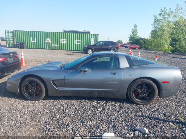 2004 Chevrolet Corvette მანქანა იყიდება აუქციონზე, vin: 1G1YY22G945124741, აუქციონის ნომერი: 45720090