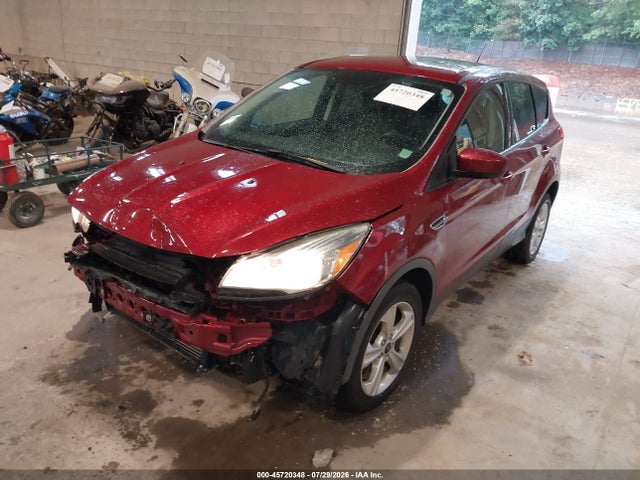 Ford ESCAPE SE 2016 1FMCU0GX4GUB54777 Image 2