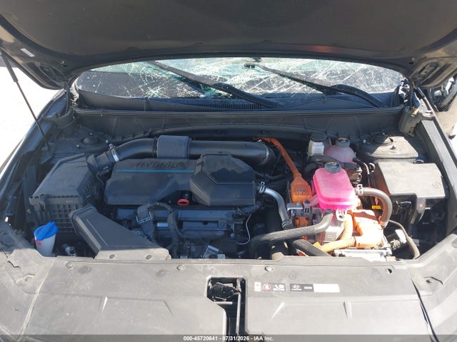 Hyundai Tucson Hybrid Blue 2024 KM8JBCD13RU204022 Image 10