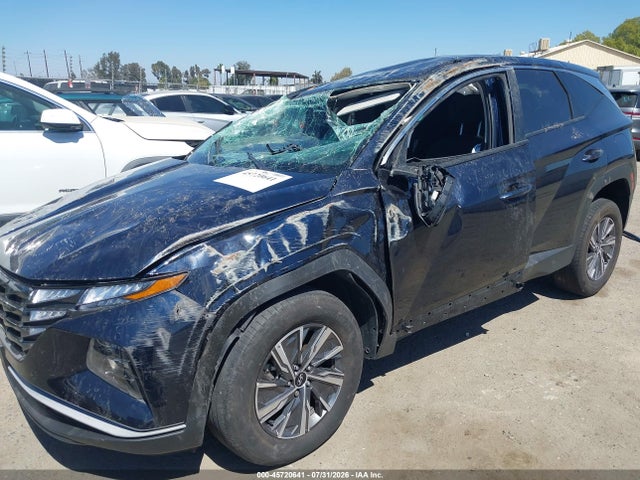 Hyundai Tucson Hybrid Blue 2024 KM8JBCD13RU204022 Image 15