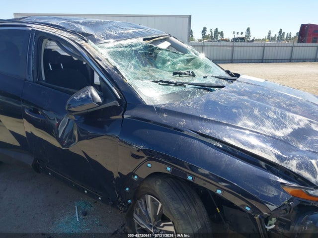 Hyundai Tucson Hybrid Blue 2024 KM8JBCD13RU204022 Image 17