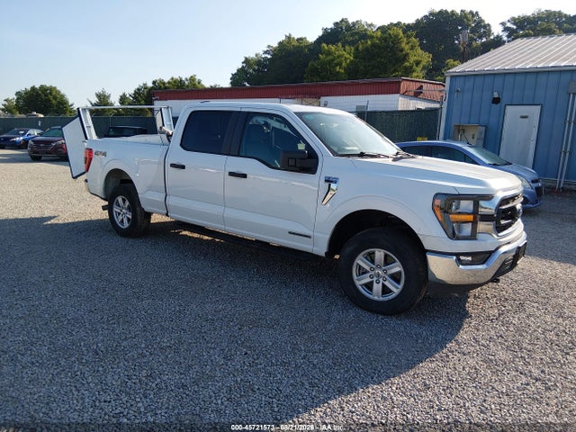 45721573 :رقم المزاد ، 1FTFW1ED3PFB49701 vin ، 2023 Ford F-150 Xlt مزاد بيع