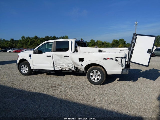 45721573 :رقم المزاد ، 1FTFW1ED3PFB49701 vin ، 2023 Ford F-150 Xlt مزاد بيع