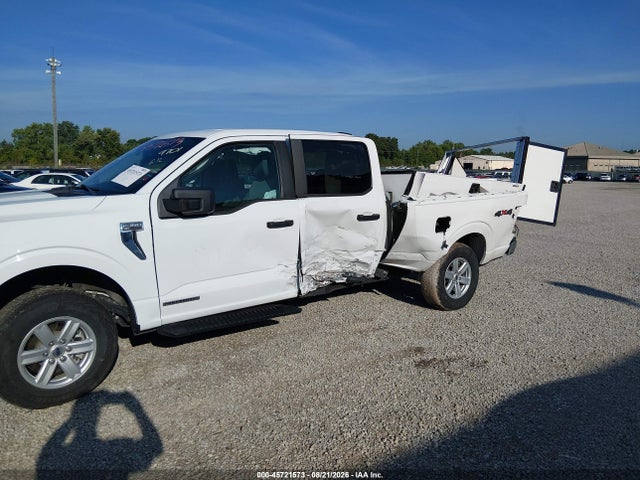 45721573 :رقم المزاد ، 1FTFW1ED3PFB49701 vin ، 2023 Ford F-150 Xlt مزاد بيع