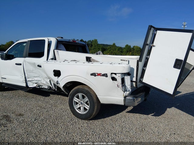 45721573 :رقم المزاد ، 1FTFW1ED3PFB49701 vin ، 2023 Ford F-150 Xlt مزاد بيع