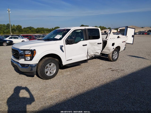 45721573 :رقم المزاد ، 1FTFW1ED3PFB49701 vin ، 2023 Ford F-150 Xlt مزاد بيع