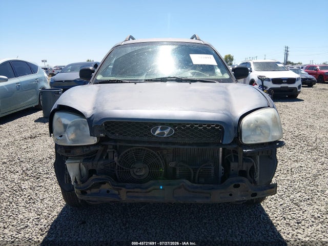 Продаж на аукціоні авто 2004 Hyundai Santa Fe Gls, vin: KM8SC13D34U643893, номер лоту: 45721691