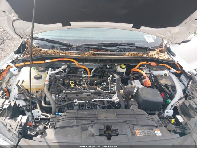 2025 Ford Escape Phev მანქანა იყიდება აუქციონზე, vin: 1FMCU0E10SUA33655, აუქციონის ნომერი: 45722232