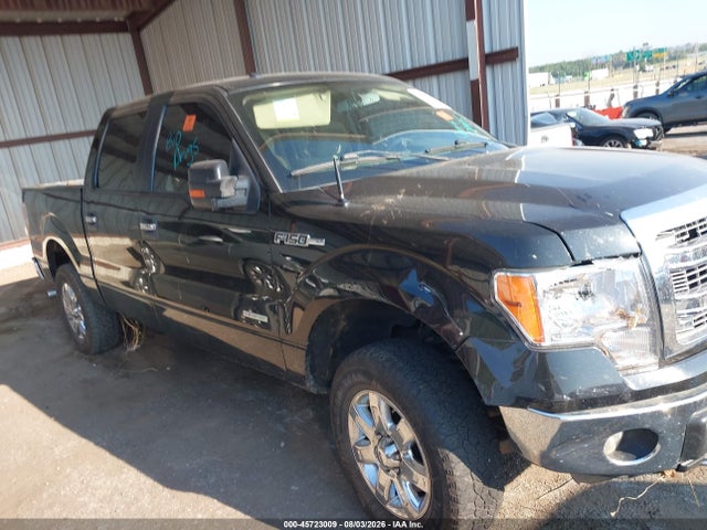 45723009 :رقم المزاد ، 1FTFW1ET0DKE02614 vin ، 2013 Ford F-150 Xlt مزاد بيع