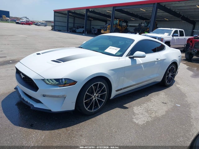 Aukcja sprzedaży 2020 Ford Mustang Ecoboost Fastback, vin: 1FA6P8TH6L5189319, numer aukcji: 45725701