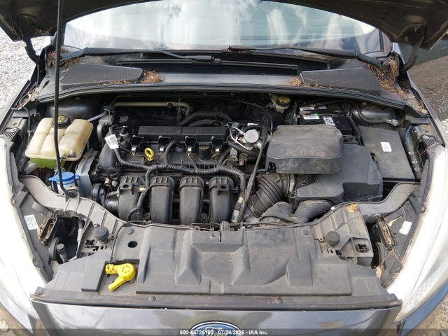 1FADP3F23GL399752 Ford FOCUS SE