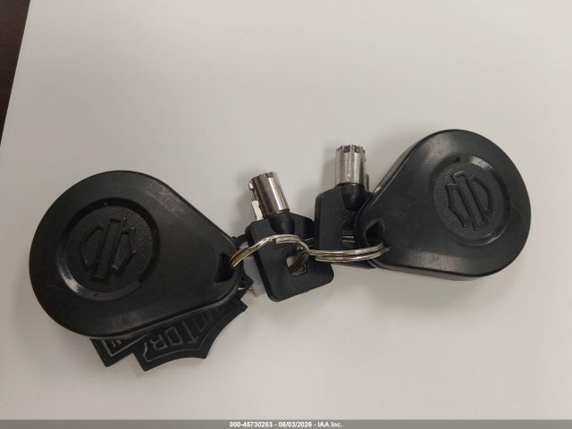 Aukcja sprzedaży 2019 Harley-davidson Flhtk, vin: 1HD1KEF18KB602985, numer aukcji: 45730283
