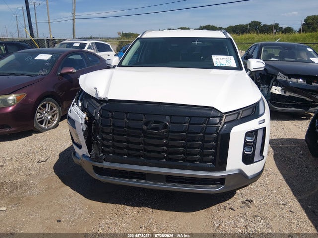 Hyundai Palisade Sel 2025 KM8R24GE6SU829835 Image 12