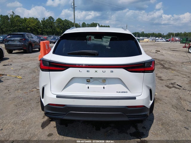 2024 Lexus Nx 250 Premium მანქანა იყიდება აუქციონზე, vin: JTJGDCAZ7R5016646, აუქციონის ნომერი: 45734405