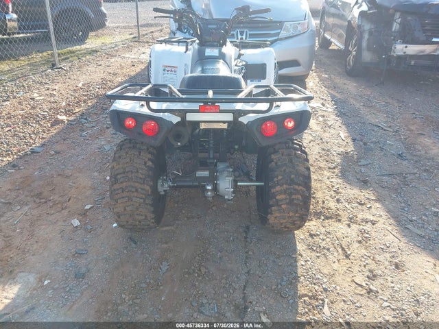 Kawasaki Kvf300 C 2022 RGSWM22A5NBG83222 Image 6