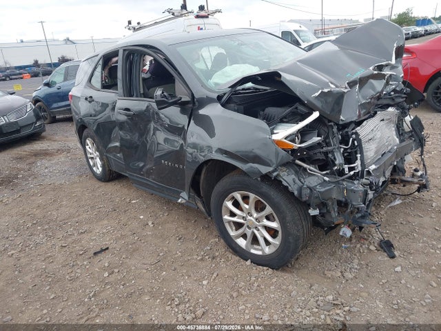 Продажа на аукционе авто 2019 Chevrolet Equinox Ls, vin: 2GNAXSEV8K6303142, номер лота: 45736884