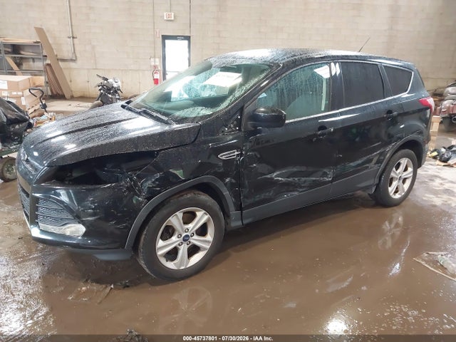 Ford ESCAPE SE 2016 1FMCU9GX2GUC64067 Image 2