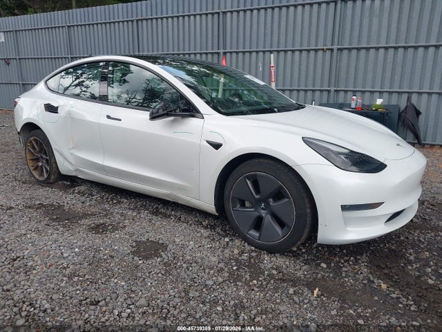 Продаж на аукціоні авто 2023 Tesla Model 3 Rear-wheel Drive, vin: 5YJ3E1EA2PF499384, номер лоту: 45739389