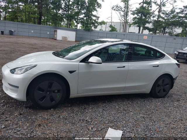 Продажа на аукционе авто 2023 Tesla Model 3 Rear-wheel Drive, vin: 5YJ3E1EA2PF499384, номер лота: 45739389