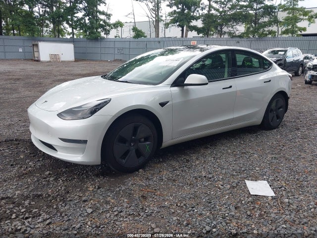 Продажа на аукционе авто 2023 Tesla Model 3 Rear-wheel Drive, vin: 5YJ3E1EA2PF499384, номер лота: 45739389
