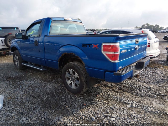 Продаж на аукціоні авто 2013 Ford F-150 Stx, vin: 1FTMF1EF0DKD63833, номер лоту: 45742881
